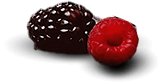 berries.png
