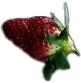 fruit-3.png
