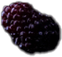 fruit-5.png