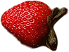 strawberry1.png