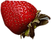 strawberry2.png