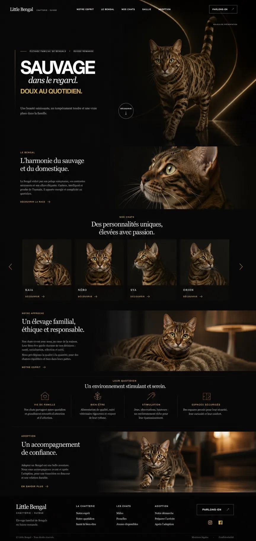 Page d’accueil de Little Bengal, chatterie Bengal en Suisse