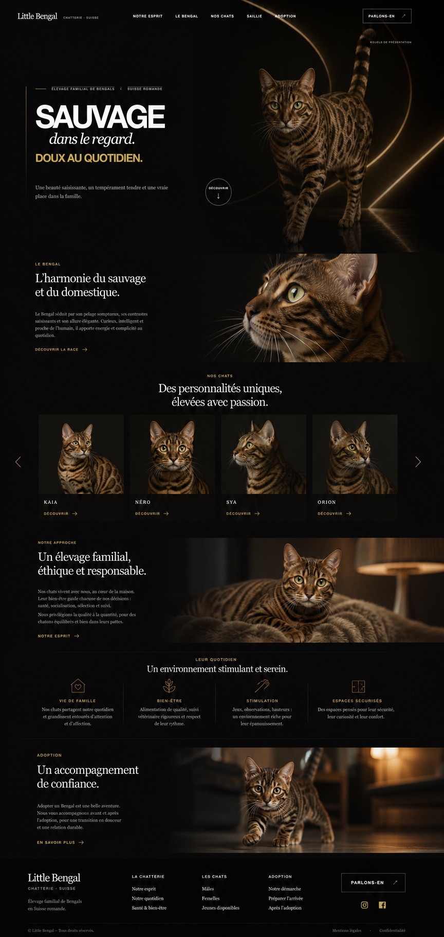 Aperçu vertical du projet Little Bengal
