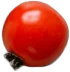 Tomato5.png - agence digitale Genève WebSite Genève