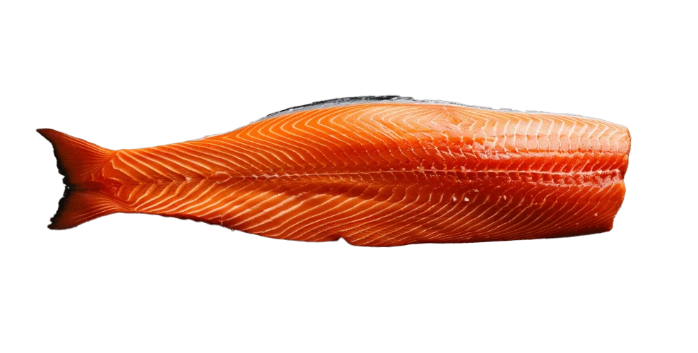 Salmon-fillet-2.png - agence digitale Genève WebSite Genève