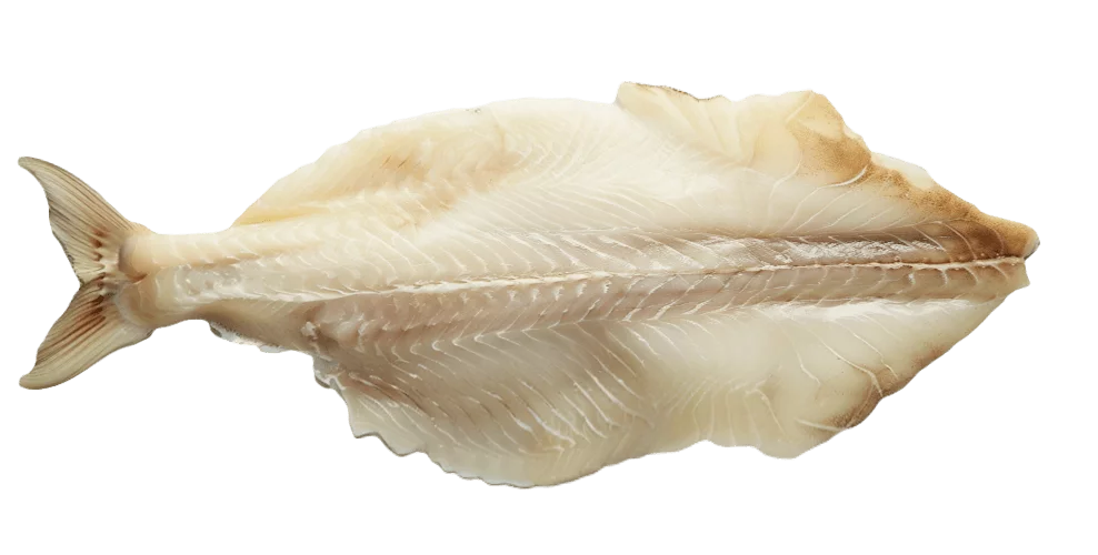 Halibut-fillet.png - agence digitale Genève WebSite Genève