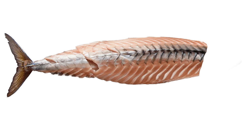 Mackerel-fillet.png - agence digitale Genève WebSite Genève