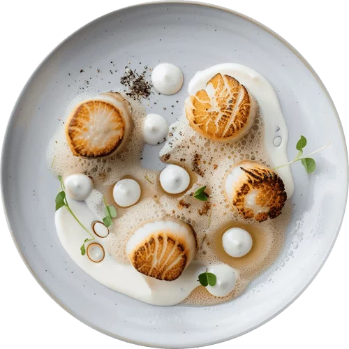 P7.png - agence digitale Genève WebSite Genève