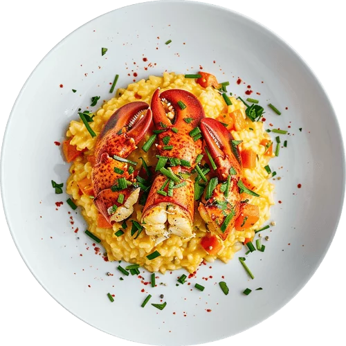 P14.png - agence digitale Genève WebSite Genève