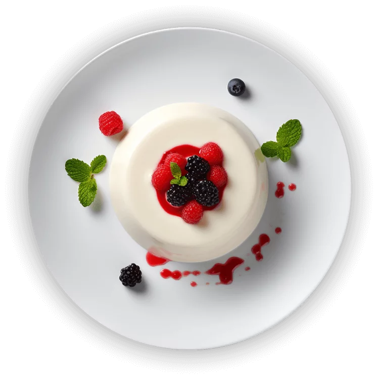 Panacota.png - agence digitale Genève WebSite Genève