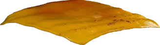 Cheese.png - agence digitale Genève WebSite Genève