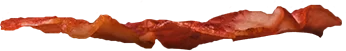 Bacon-1.png - agence digitale Genève WebSite Genève
