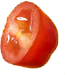 Untitled-2_0003_tomato4.png - agence digitale Genève WebSite Genève