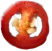 Untitled-2_0000_tomato1.png - agence digitale Genève WebSite Genève