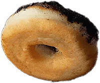 Donut3.png - agence digitale Genève WebSite Genève