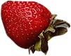 Strawberry2.png - agence digitale Genève WebSite Genève
