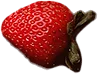 Strawberry1.png - agence digitale Genève WebSite Genève