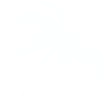 Palm-right.png - agence digitale Genève WebSite Genève
