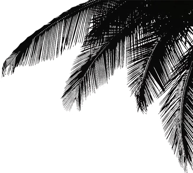 Palm-black-right.png - agence digitale Genève WebSite Genève