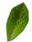 Leaf1.png - agence digitale Genève WebSite Genève