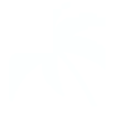 Palm-left.png - agence digitale Genève WebSite Genève